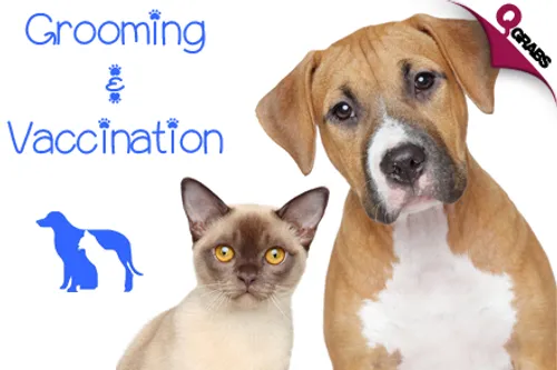 For QR179, Get Your Dog or Cat Vaccinated with Consultation OR for QR199 Dogs/QR299 Cats, Pamper their Paws with a Grooming Session! (QR605/QR540/QR655 Value)